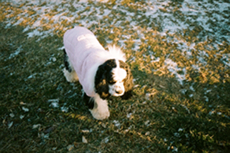 Jessie in coat